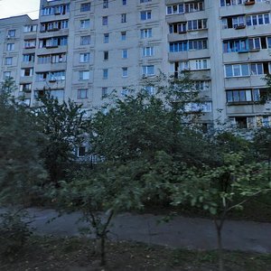 Киев, Улица Инженера Бородина, 5А: фото