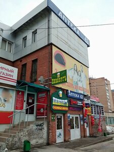 Lizy Chaykinoy Street, 69Б, Togliatti: photo