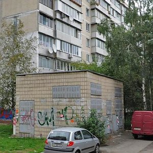 Vadyma Hetmana Street, 28Б, Kyiv: photo