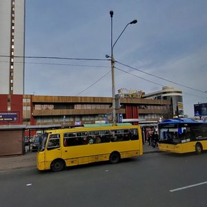 Raisy Okipnoi Street, 2, Kyiv: photo