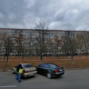Koltsova Boulevard, 17, Kyiv: photo