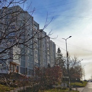 Ulitsa Martsinkevicha, 87А, : foto