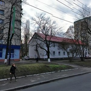 Kyrylivska Street, No:113, Kiev: Fotoğraflar