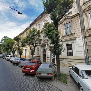 Vulytsia Chaikovskoho, 16, Lviv: photo