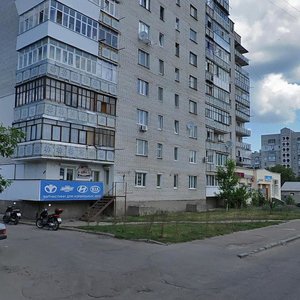 Dombrovs'koho Street, 45, Zhytomyr: photo