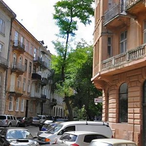 Vulytsia Yaroslava Stetska, 6, Lviv: photo