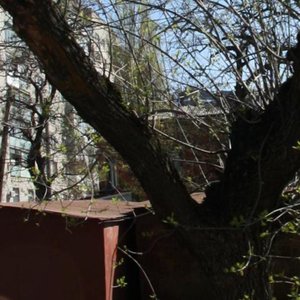 Lermontovskaya Street, 2/14 ، روستوف نا دونو: صورة