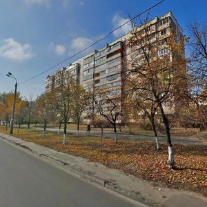 Mykoly Zakrevskoho Street, 63, : foto