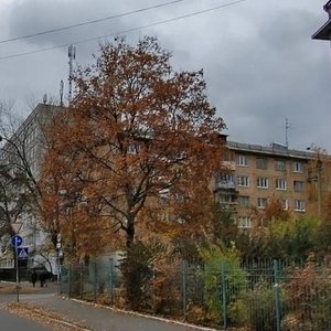 Киев, Переулок Василия Жуковского, 13/16: фото