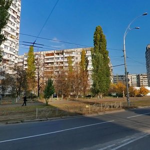 Heroiv Dnipra Street, 7, Kyiv: photo