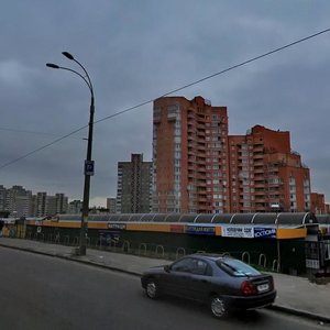 Akademika Palladina Avenue, 31, Kyiv: photo