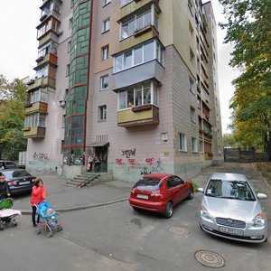 Martyrosiana Street, 25, Kyiv: photo