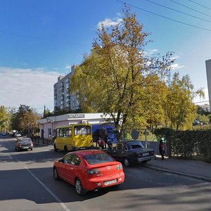 Vulytsia Bezhivka, 2, Boryspil: photo