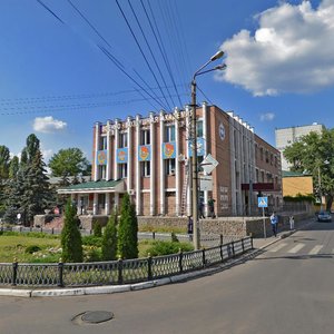 Starykh Bolshevikov Street, 54А, Voronezh: photo