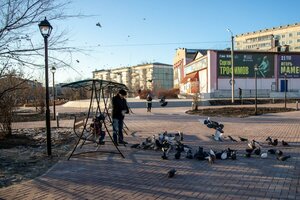 Благовещенск, Институтская улица, 1: фото