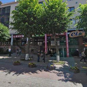 Mykoly Ovodova Street, 49, Vinnytsia: photo