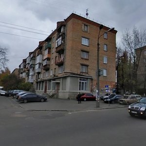 Vasylkivska Street, 25/17, Kyiv: photo