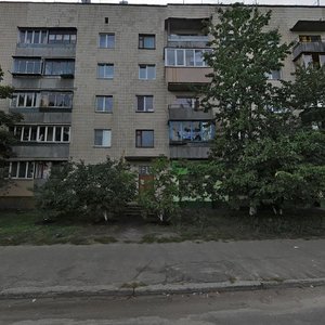 Ivana Diachenka Street, 6, Kyiv: photo