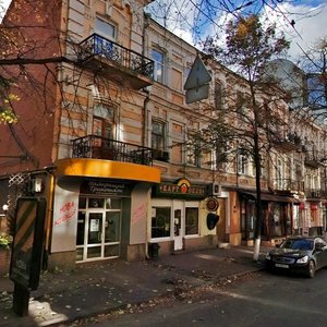 Sichovykh Striltsiv Street, 11, Kyiv: photo