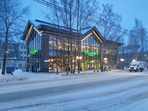 Karla Marksa Street, 207, Syktyvkar: photo