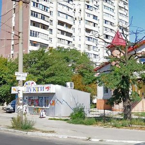 Baikalska Street, 78, Dnipro: photo