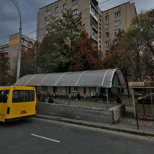 Chokolivskyi Boulevard, 12/14, Kyiv: photo