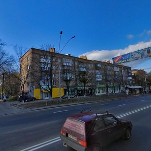 Oleny Telihy Street, 11, Kyiv: photo