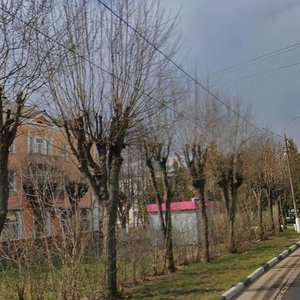Institutskaya ulitsa, 21, Fryazino: photo