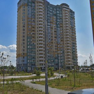 Yelyzavety Chavdar Street, 24 ، كييف: صورة