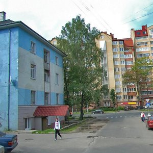 Aleksandra Nevskogo Street, 51А, : foto