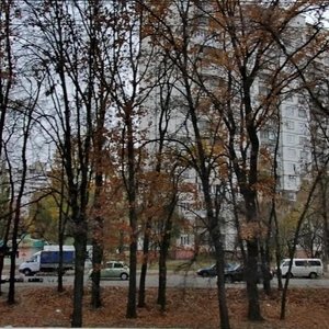 Akademika Hlushkova Avenue, No:26, Kiev: Fotoğraflar