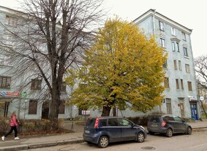 Mira Street, 10, Vyborg: photo
