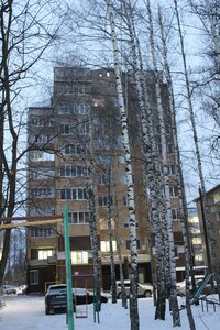 Moskovskiy Avenue, 39к1 ، : صورة