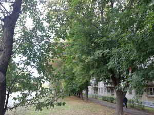 Domenshchikov Street, 5, Magnitogorsk: photo