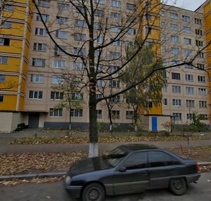 Sholom-Aleikhema Street, 12, Kyiv: photo