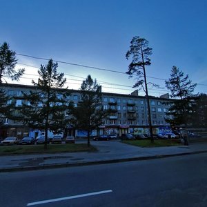 Toreza Avenue, 82, Saint Petersburg: photo