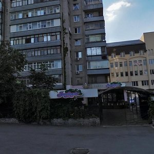 Volodymyra Antonovycha Street, 4, Dnipro: photo