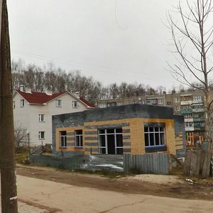 Нижегородская область, Сельский посёлок Селекционной Станции, 29: фото