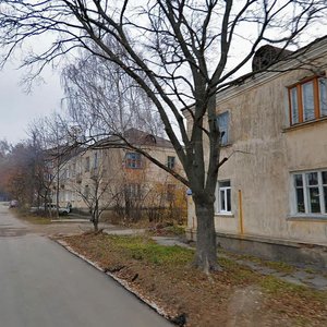 Karakozova Street, 66, Tula: photo