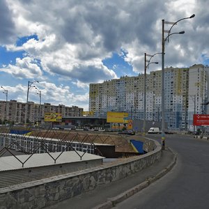 Volodymyra Maiakovskoho Avenue, 85, Kyiv: photo