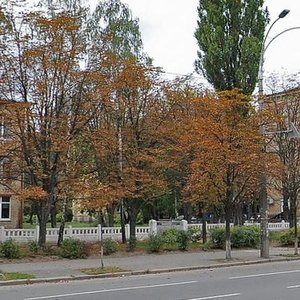 Vidradnyi Avenue, 18А, : foto
