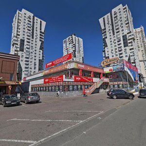 Киев, Срибнокильская улица, 3: фото