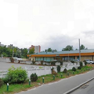 Volodymyra Brozhka Street, 21А, Kyiv: photo