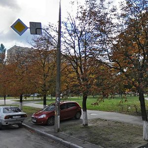 Marshala Rokosovskoho Avenue, 10, Kyiv: photo