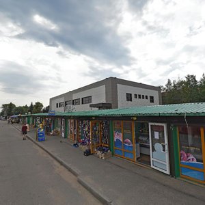 Mikheenko Street, 20А, Hot'kovo: photo