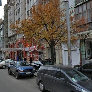 Saksahanskoho Street, 119, Kyiv: photo