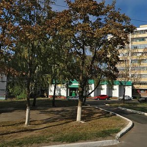 60 Let Oktyabrya Avenue, 11А, Saransk: photo