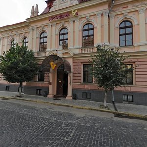 Vulytsia Mitskevycha, 2, Chernivtsi: photo