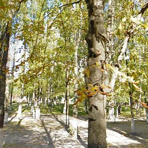 Akademika Tupolieva Street, 22В, : foto
