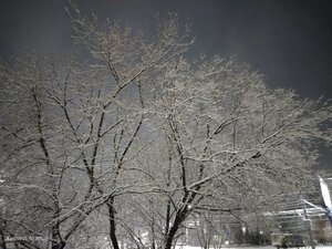 Нижний Новгород, Московское шоссе, 146: фото